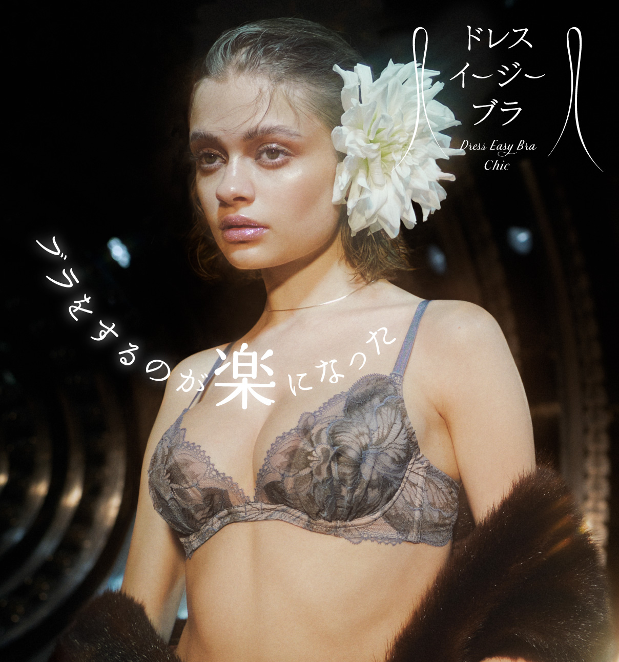 ドレスイージーブラ