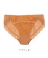 テラコッタ
